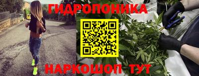 прущие крисы Бузулук